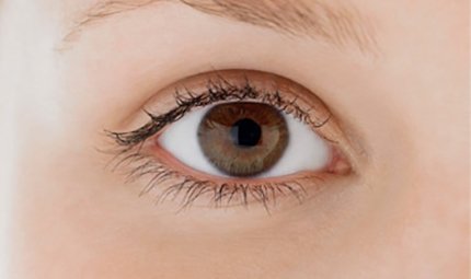 What Are the Most Dangerous Eye Diseases